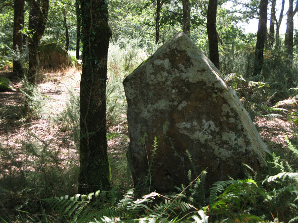 Menhir near Dolmen de Clud Er Yer